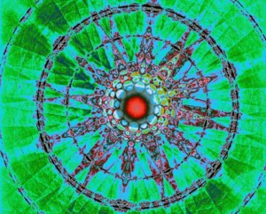 Department of Materials Science and Metallurgy Image Gallery image